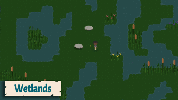 Wetlands.gif?t=1701875583