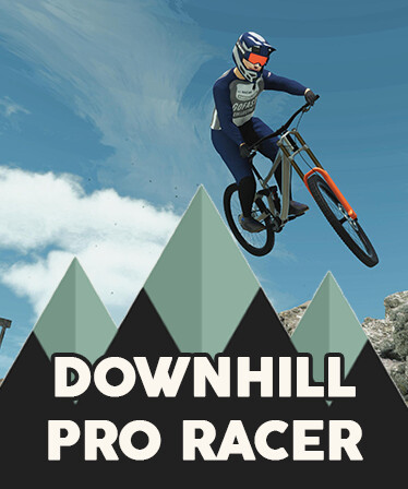 Downhill Pro Racer