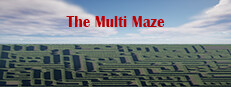 The Multi Maze