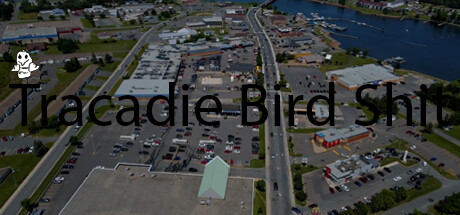 Tracadie Bird Shit steam charts