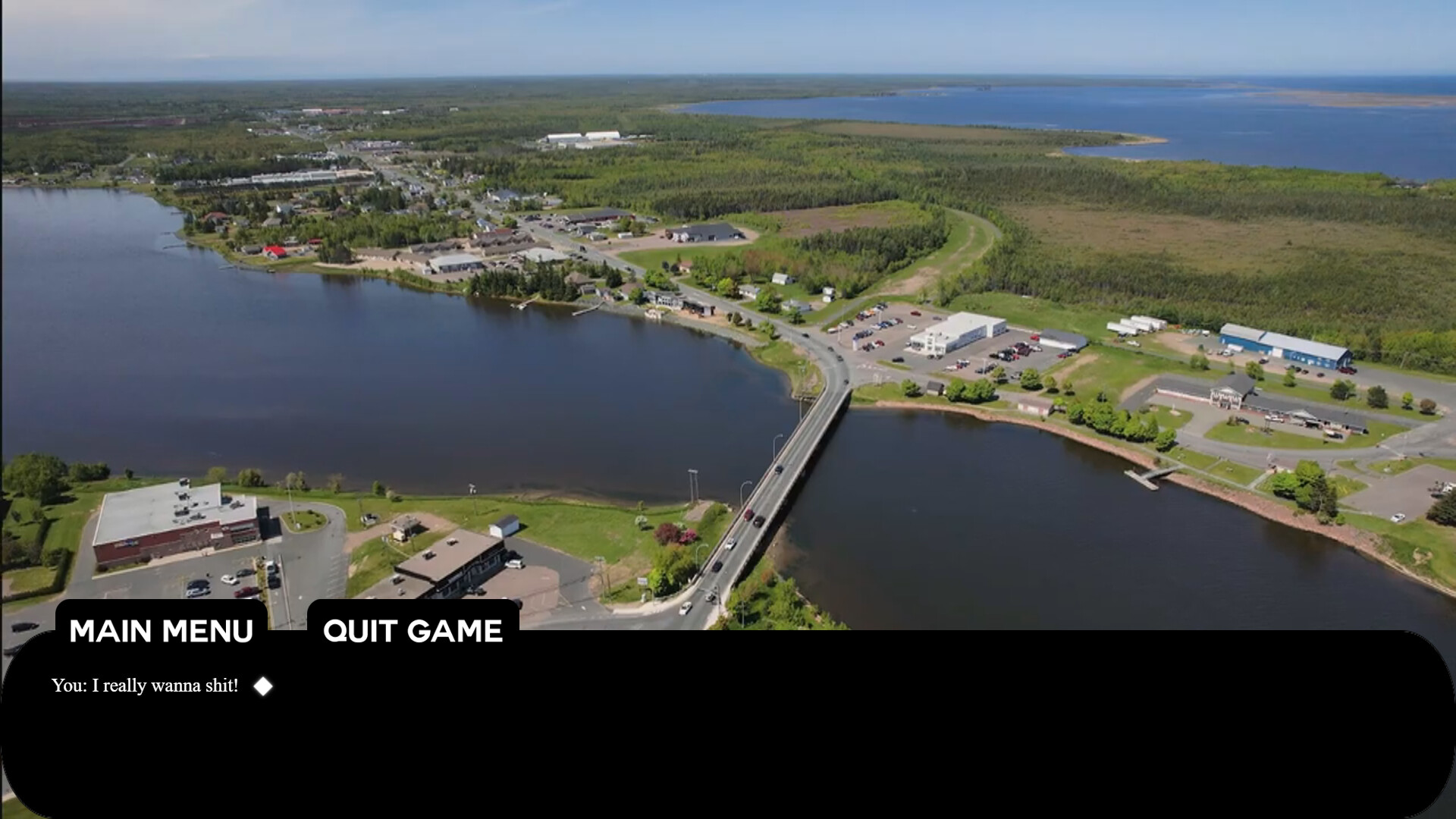 Tracadie Bird Shit #2