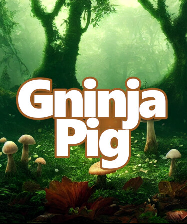 Gninja Pig