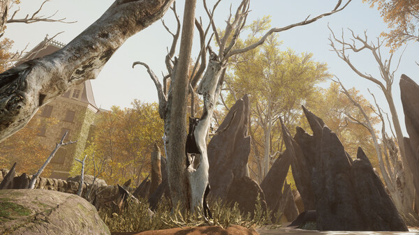 Postmousefor windows and Linux 1