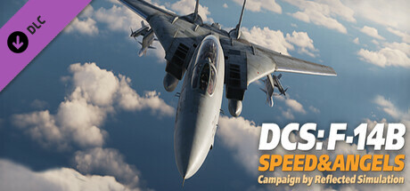 DCS: F-14B Speed and Angels Campaign