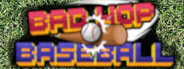 Bad Hop Baseball