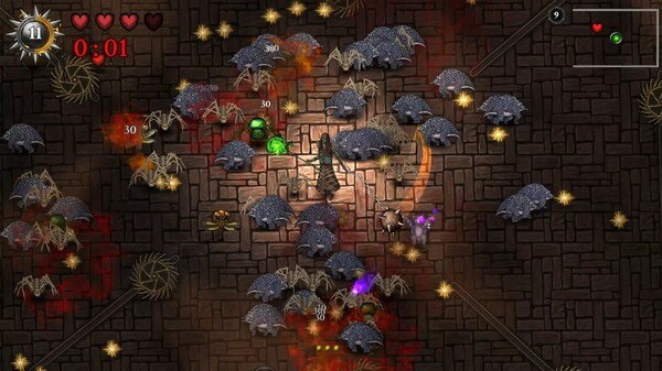 Striving for Light: Survival