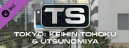 Train Simulator: Tokyo Commuter: Keihin–Tohoku & Utsunomiya Lines Route Add-On