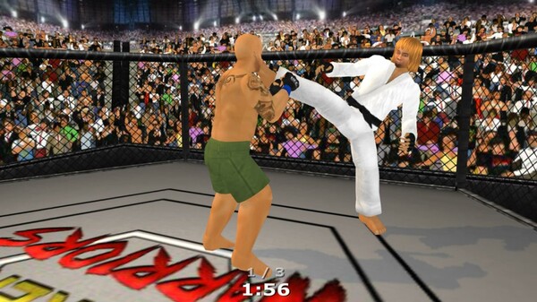 Скриншот из Weekend Warriors MMA