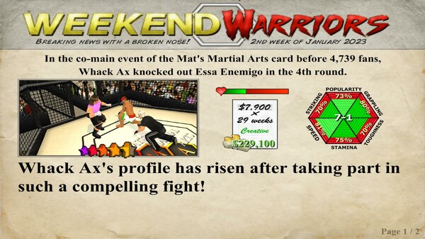 Скриншот из Weekend Warriors MMA