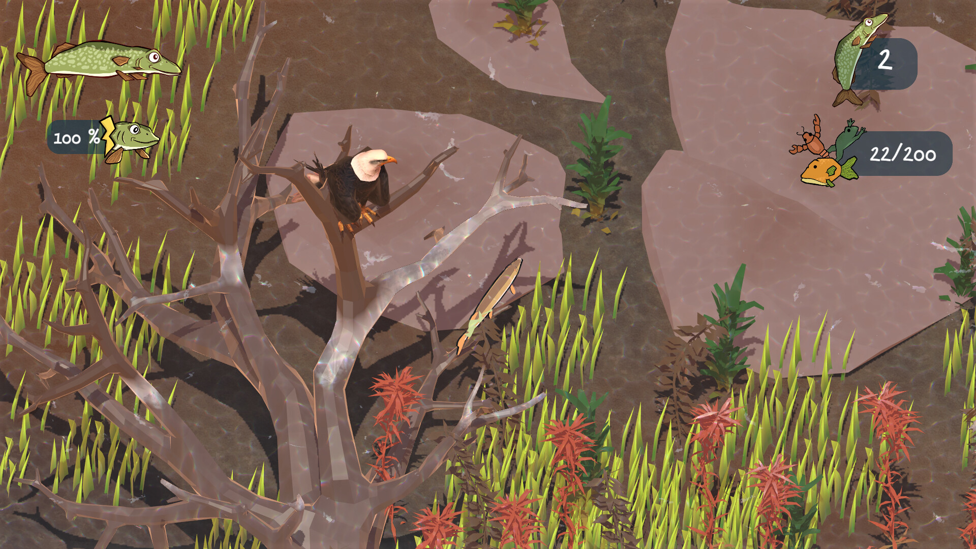 Fish Simulator: Agonik Lake #11