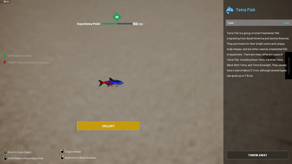 Скриншот из Aquascapers