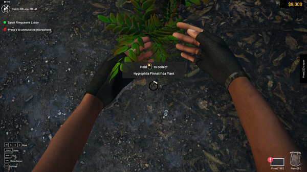 Скриншот из Aquascapers