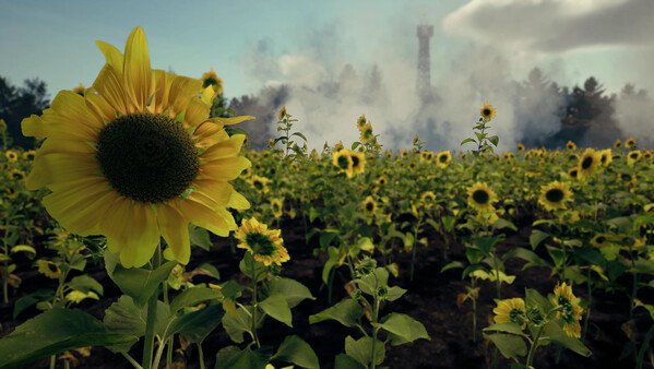 Death From Abovefor windows and Linux 1