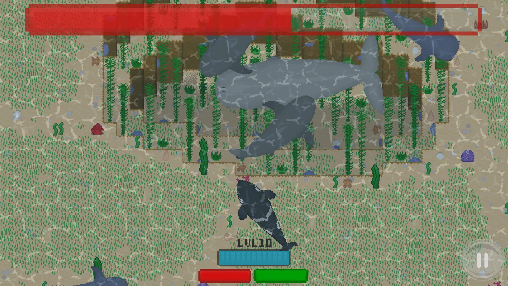 SharkKing screenshot 1
