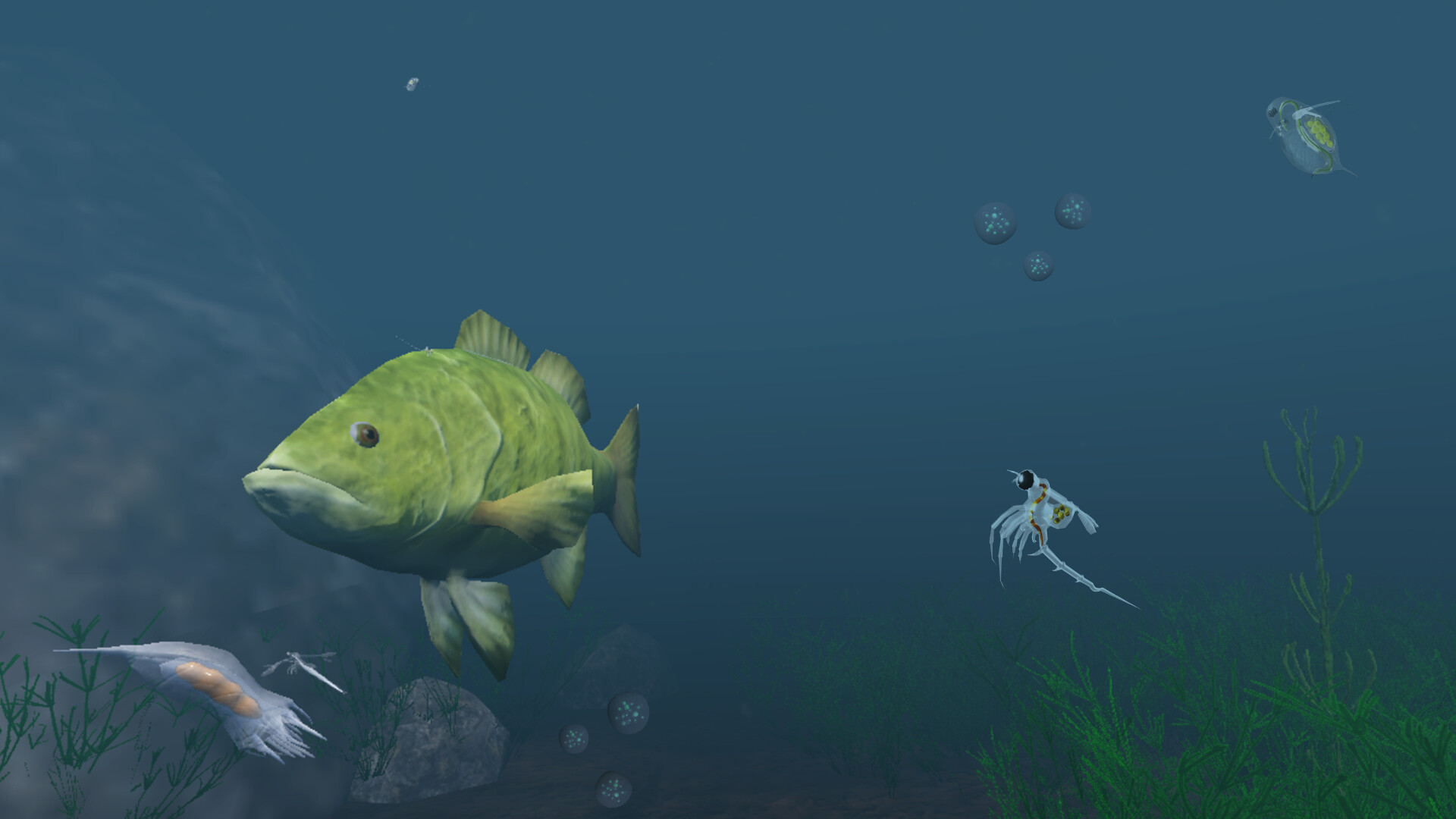 The Aquatic Messenger Demo #2