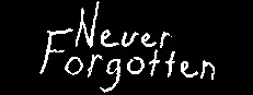 Never Forgotten 게임 이미지