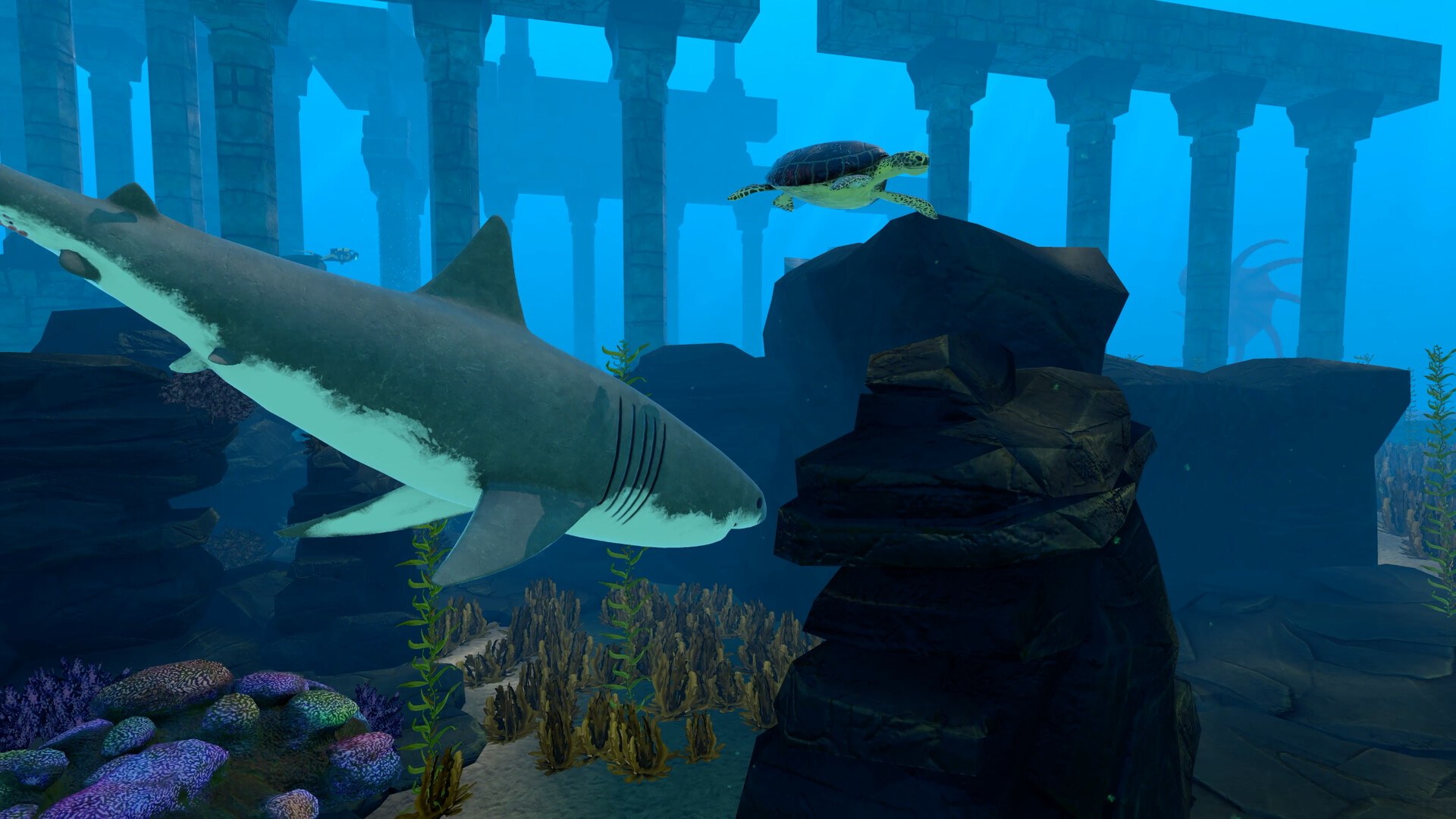 Sharks Play Free Online Shark Games. Sharks Game Downloads