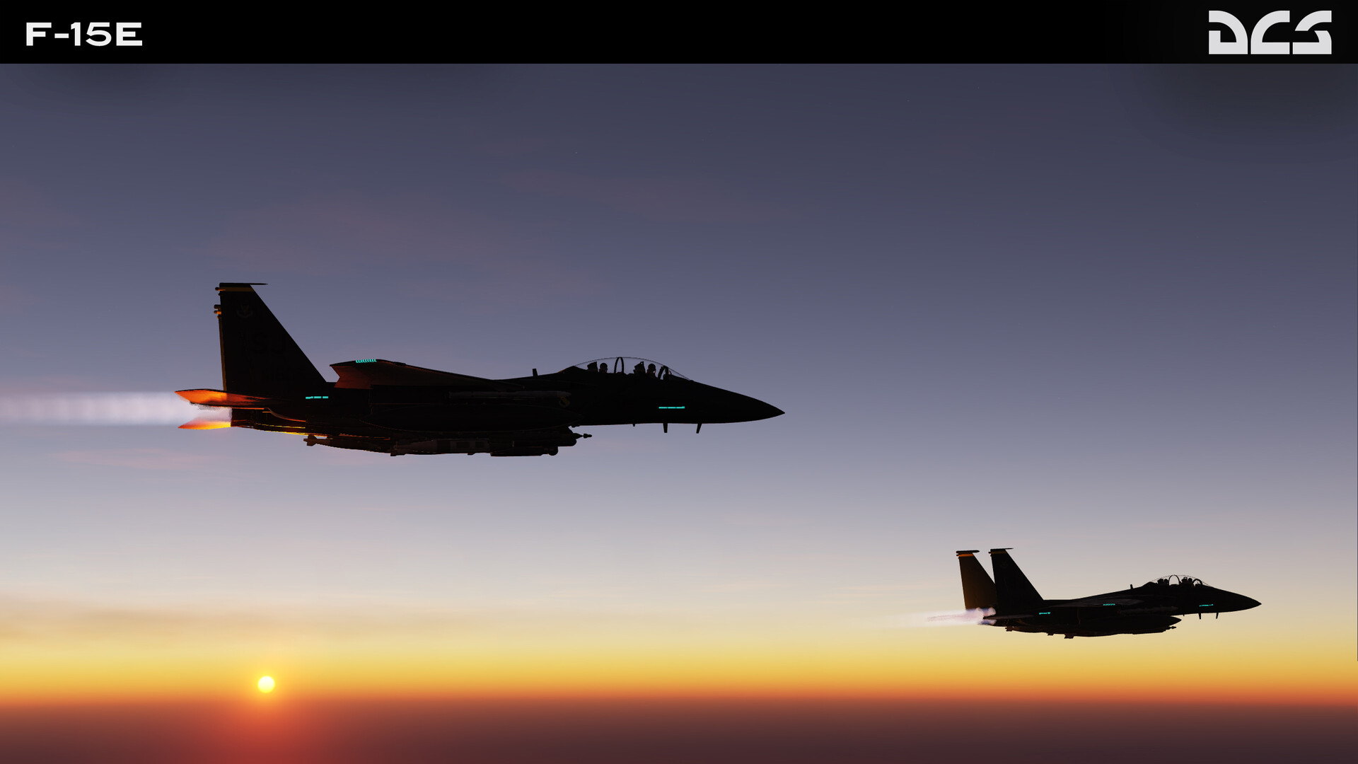 DCS: F-15E #10