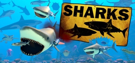 SHARKS Playtest