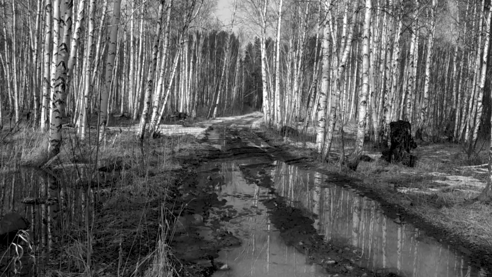 Russian Psychiatric Pastoral: Prologue #4