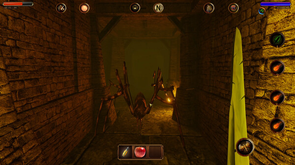 Скриншот из Dungeon Legends 2 : Tale of Light and Shadow