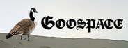 Goospace