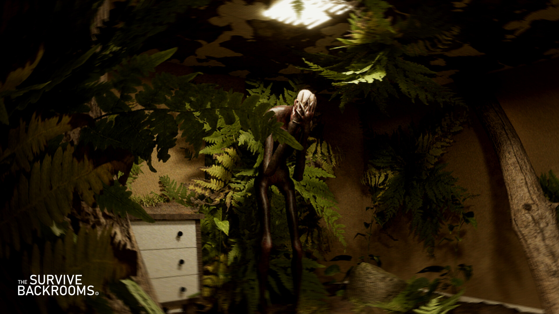 Survive The Backrooms #3