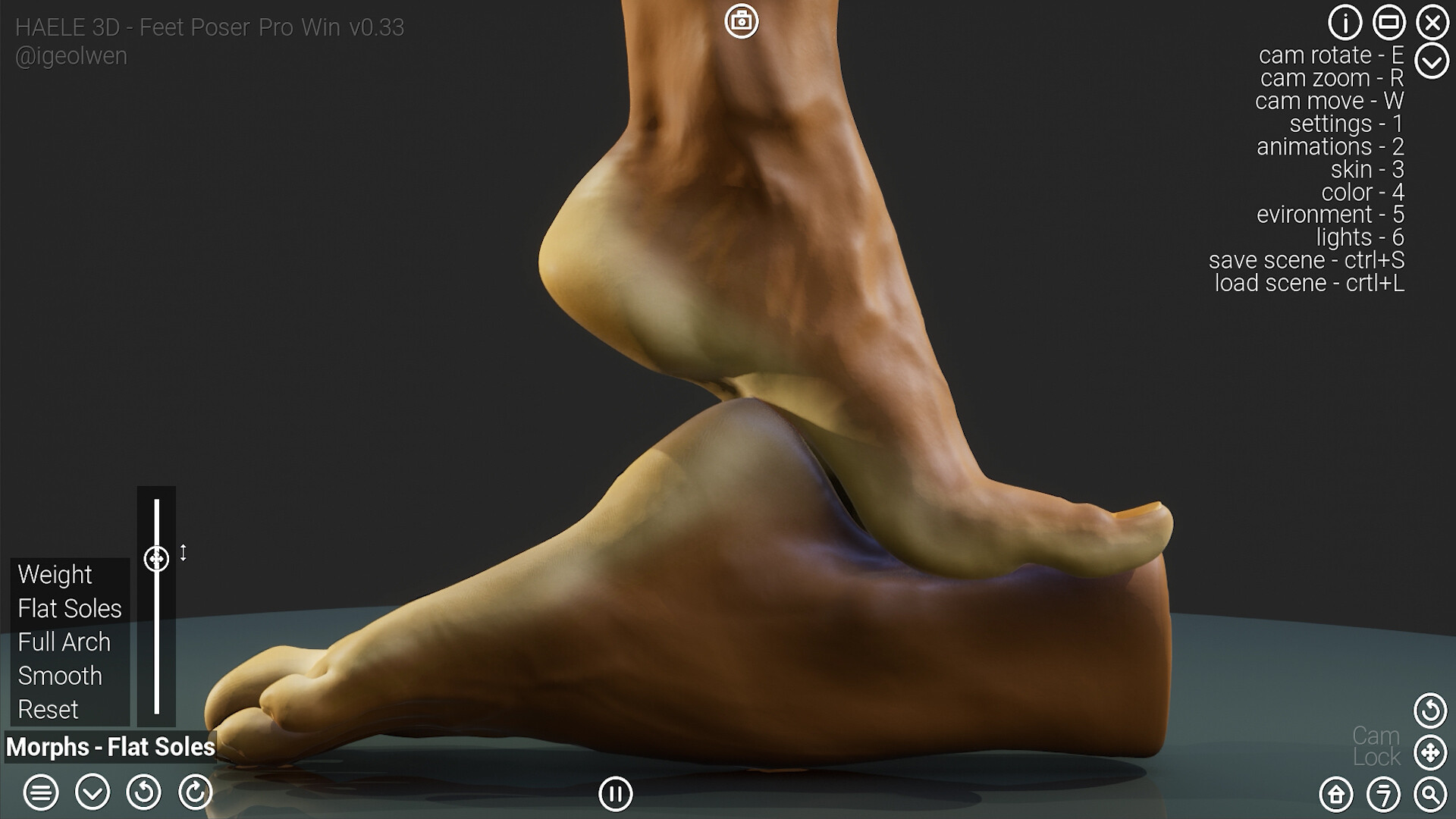 HAELE 3D - Feet Poser Pro #10