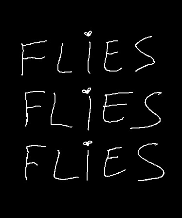 FLIES FLIES FLIES