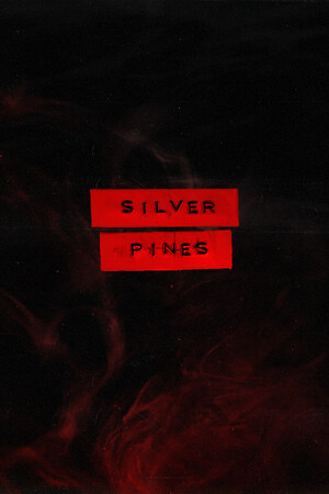Silver cover art