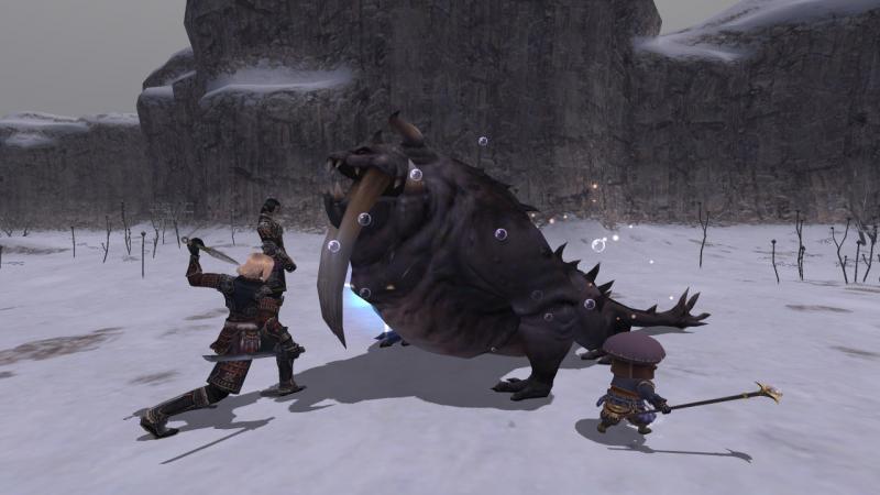 FINAL FANTASY XI #0