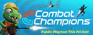 Combat Champions Playtest