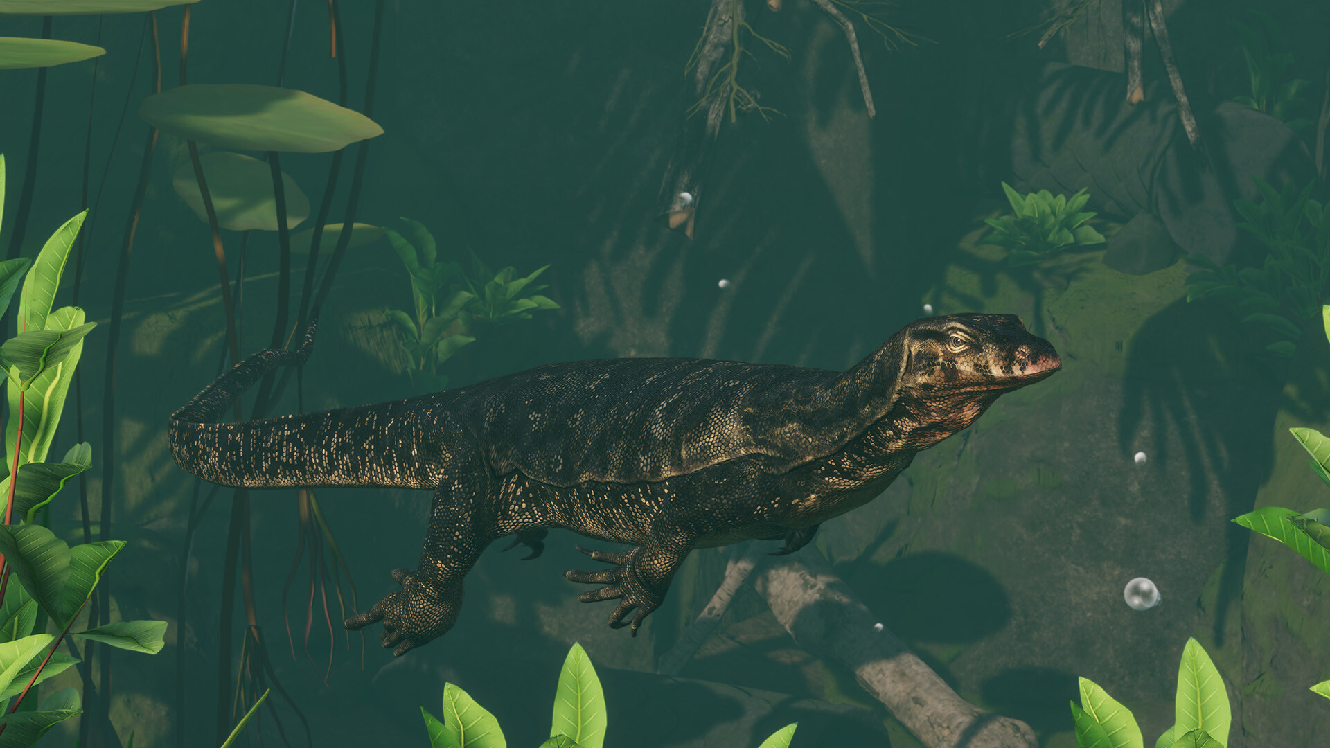 Planet Zoo: Tropical Pack and New Content Update Details