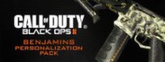 Call of Duty®: Black Ops II - Benjamins Personalization Pack