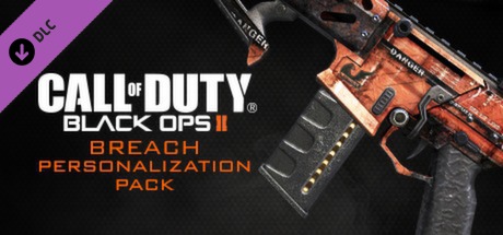 Call of Duty Black Ops 2 Steam Global 