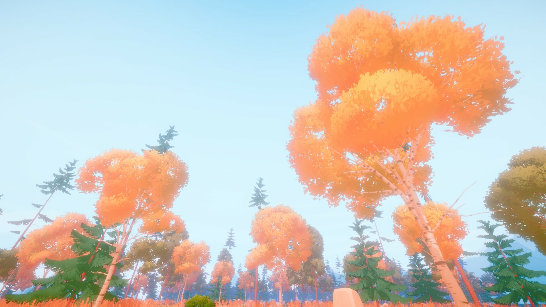 Woodland Hike screenshot screenshot 4