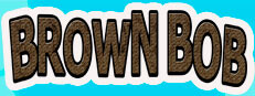 BROWN BOB 게임 이미지