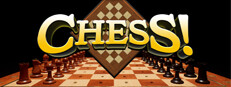 Cooperative Chess on Steam