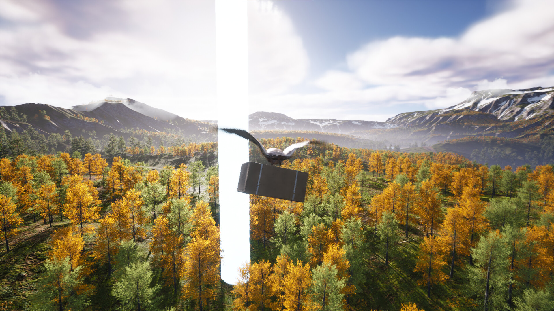 Bird's Eye Odyssey #4