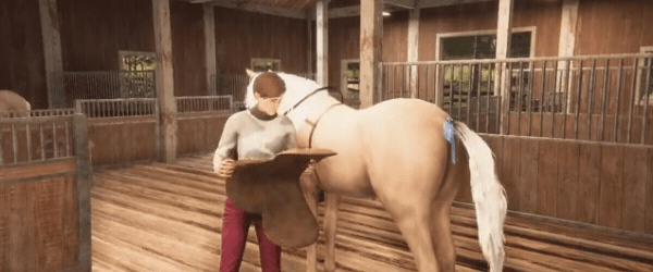 My horse bonded spirits