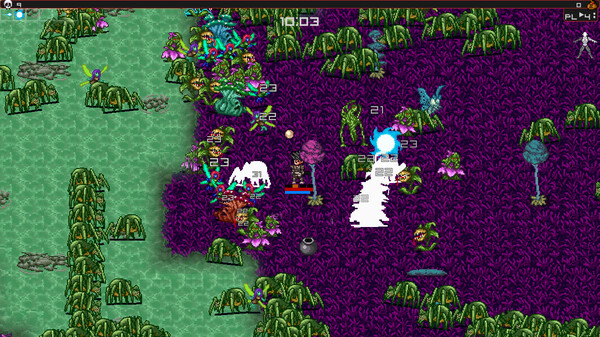 DIVINE PEARL™: Survivorsfor windows and Linux 1