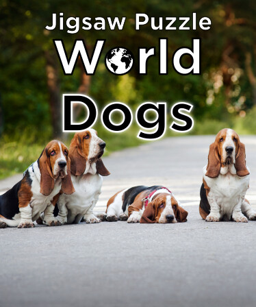 Jigsaw Puzzle World - Dogs