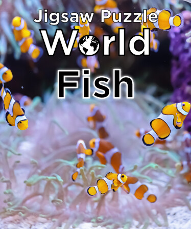 Jigsaw Puzzle World - Fish