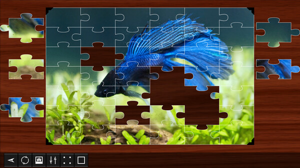Jigsaw Puzzle World - Fish for steam Jigsaw Puzzle World - Fish for steam