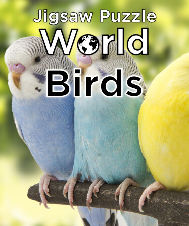 Jigsaw Puzzle World - Birds