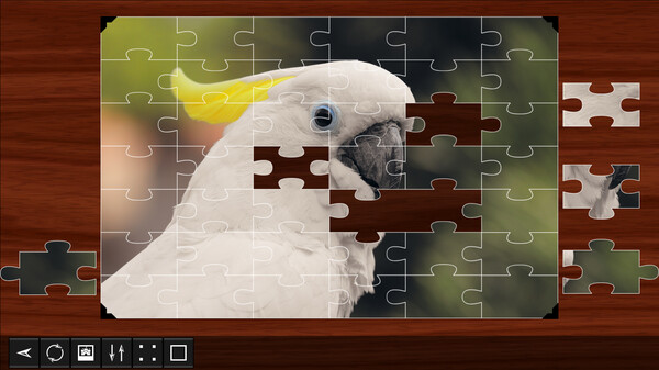 Jigsaw Puzzle World - Birds for steam