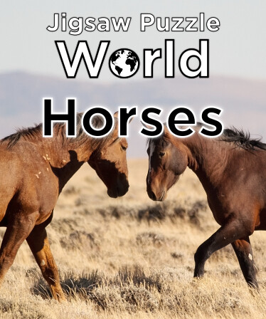 Jigsaw Puzzle World - Horses