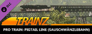 Trainz 2022 DLC - Pro Train: Pigtail Line (Sauschwänzlebahn)