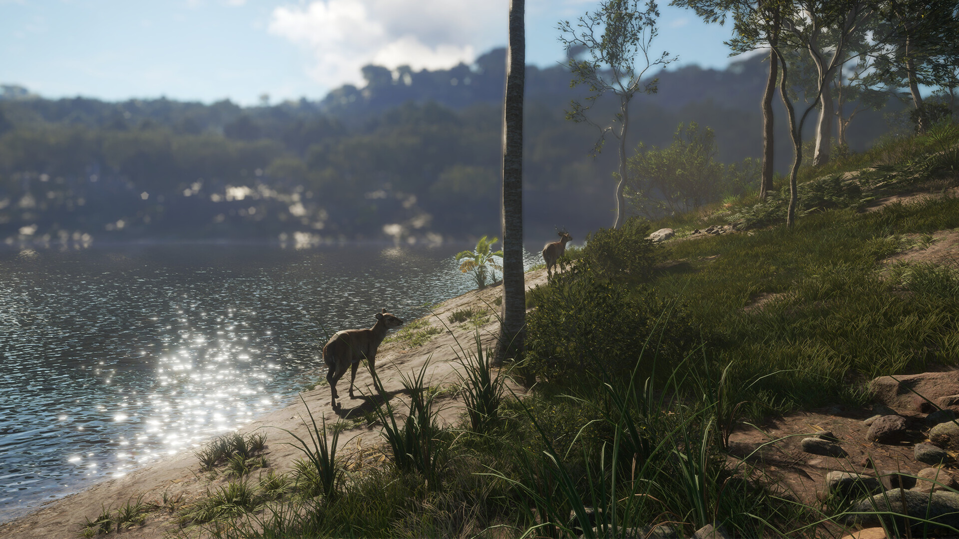 Go Croc' Hunting in theHunter: Call of the Wild's New Australian Map,  Available Now! - Avalanche Studios