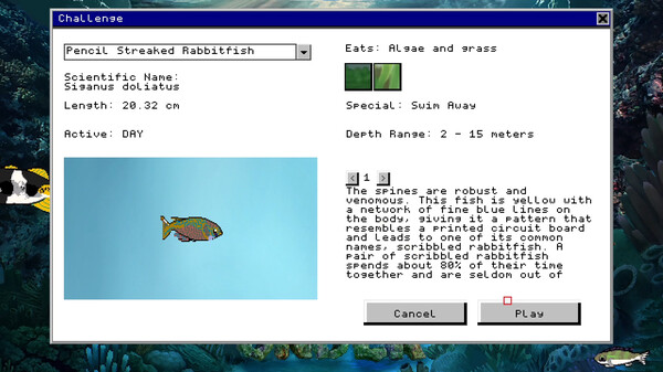 Down Under game for windows Pc 1